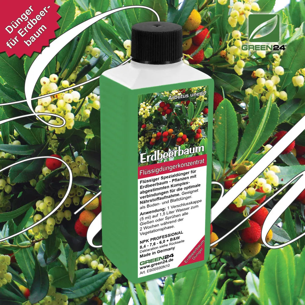 GREEN24 Erdbeerbaum-Dünger 250 ml – Produktansicht mit Pflanze