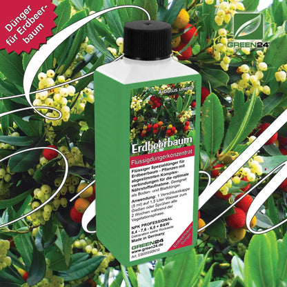 GREEN24 Erdbeerbaum-Dünger 250 ml – Produktansicht mit Pflanze