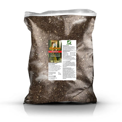 Zypressen-Erde – Originalverpackung
