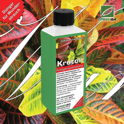 Kroton-Dünger – 250 ml – Produkt und Pflanze