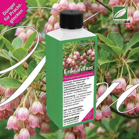 Enkianthus Dünger – HIGH-TECH Flüssigdünger für Prachtglocken – Perfekt für Blütenpracht & Herbstfärbung – Produkt und Anwendung