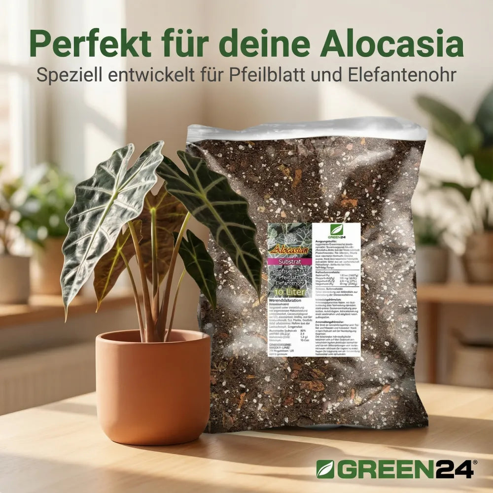 Alocasien-Erde für Pfeilblatt und Elefantenohr