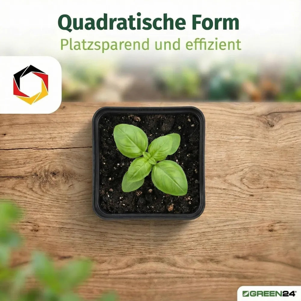 Anzuchttopf mit Jungpflanze in Draufsicht als Anwendungsbeispiel