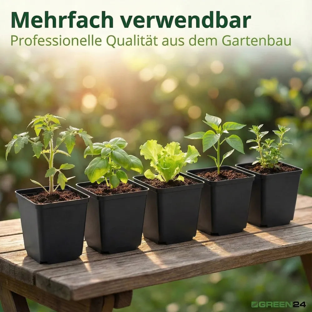 Bepflanzte 7-cm-Vierkanttöpfe als Anwendungsbeispiel