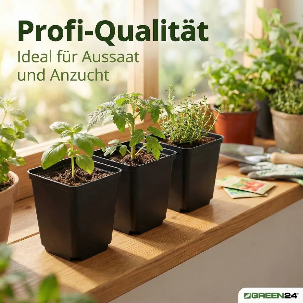 Bepflanzte Anzuchttöpfe auf einer Arbeitsfläche