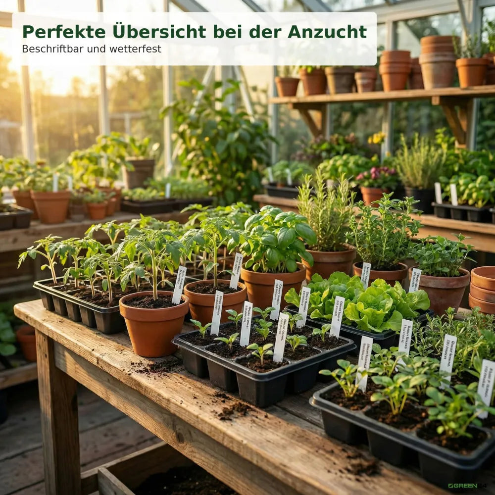 Beschriftete Pflanzen und Aussaaten in einer Gärtnereiszene