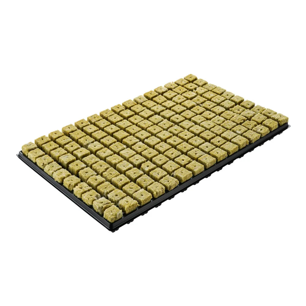 150 rockwool cubes, 25 × 25 × 40 mm, in a plastic tray