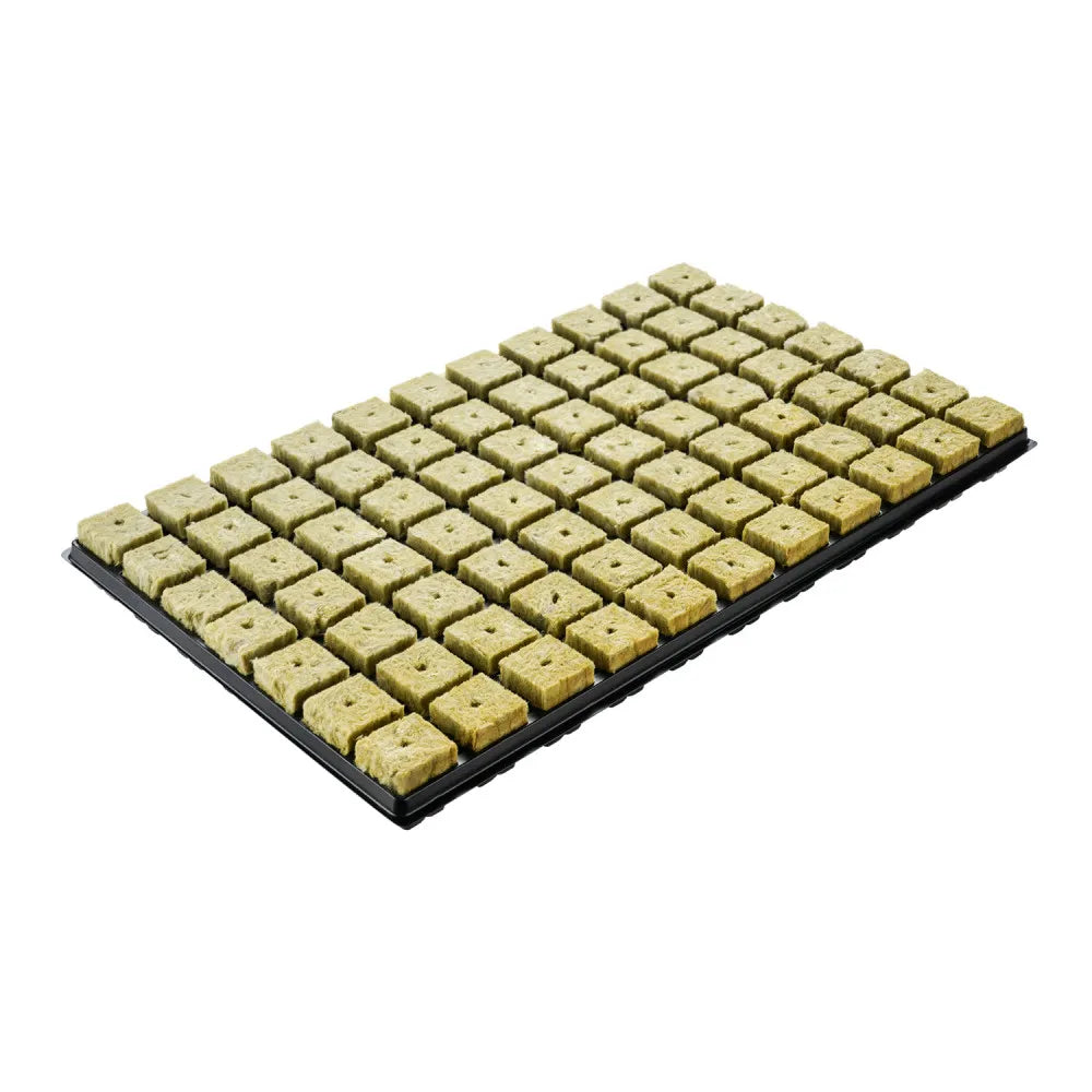 77 rockwool cubes, 36 × 36 × 40 mm, in a plastic tray