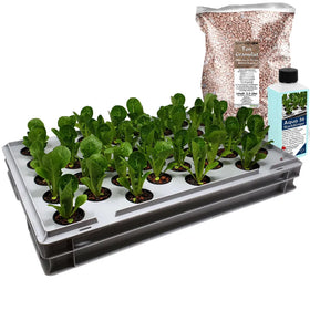 Aqua36 B Hydroponic Propagation System – 60 × 40 cm