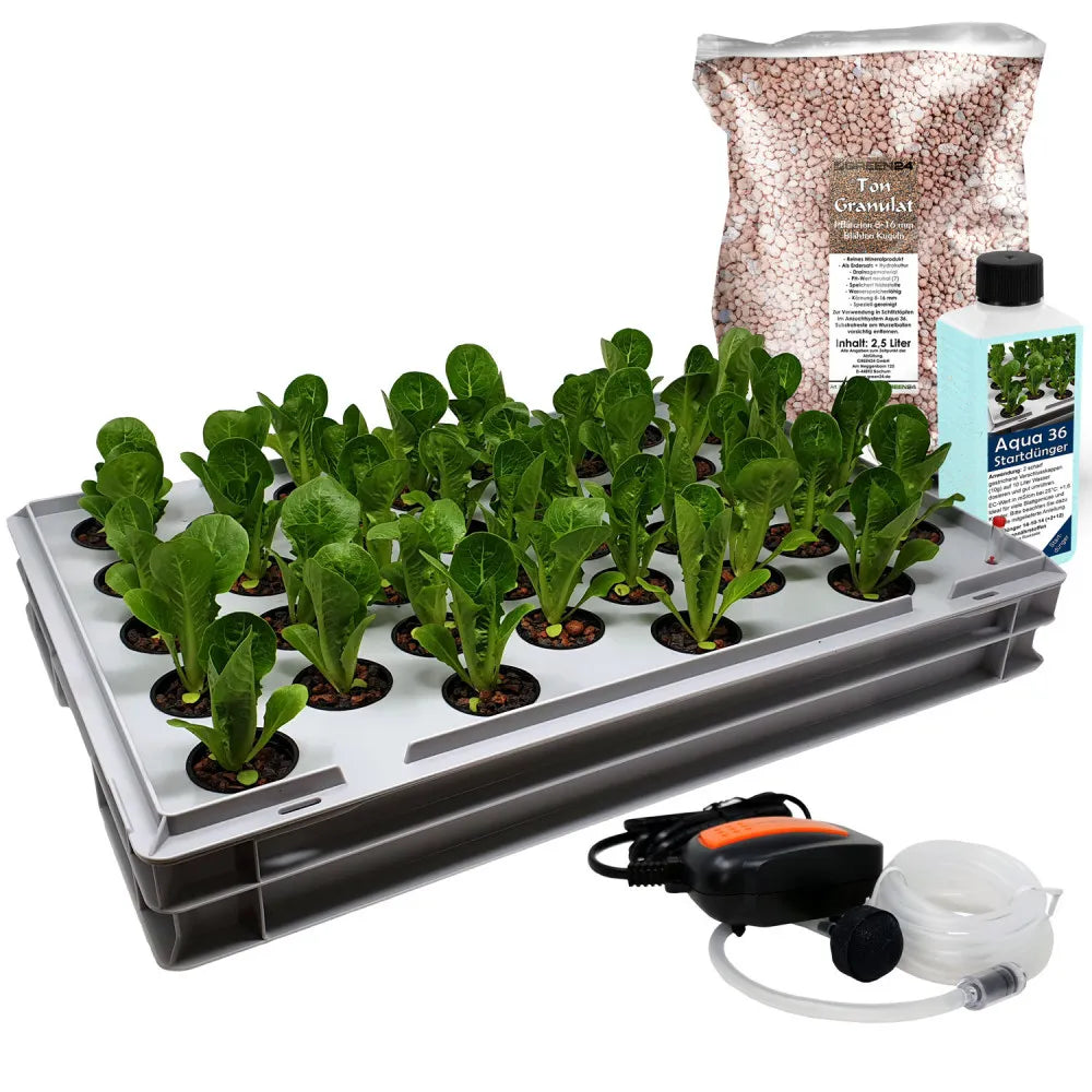 Aqua36 C Hydroponic-Anzuchtsystem – 60 × 40 cm – Lieferumfang mit Pflanzen als Anwendungsbeispiel; Pflanzen nicht enthalten; abgebildete Pumpe beispielhaft, Modell kann wechseln