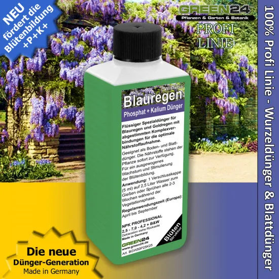 Blauregen- und Goldregen-Dünger 250 ml vor Wisteria-Blüten