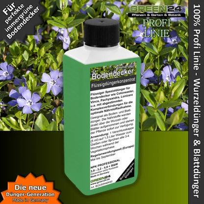 Bodendecker-Dünger 250 ml vor immergrünen Pflanzen
