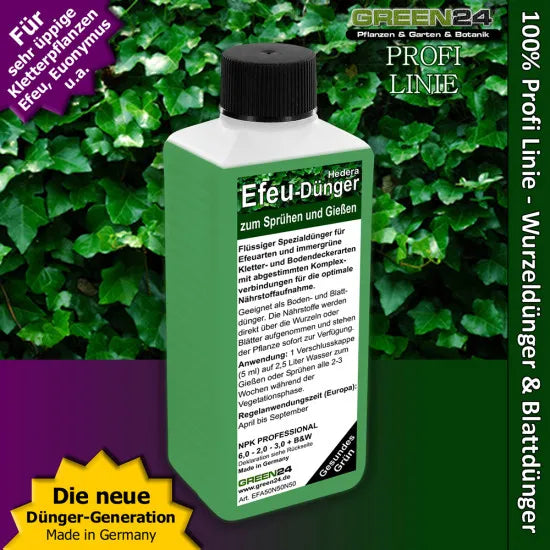 Efeu- und Euonymus-Dünger 250 ml vor Efeublättern