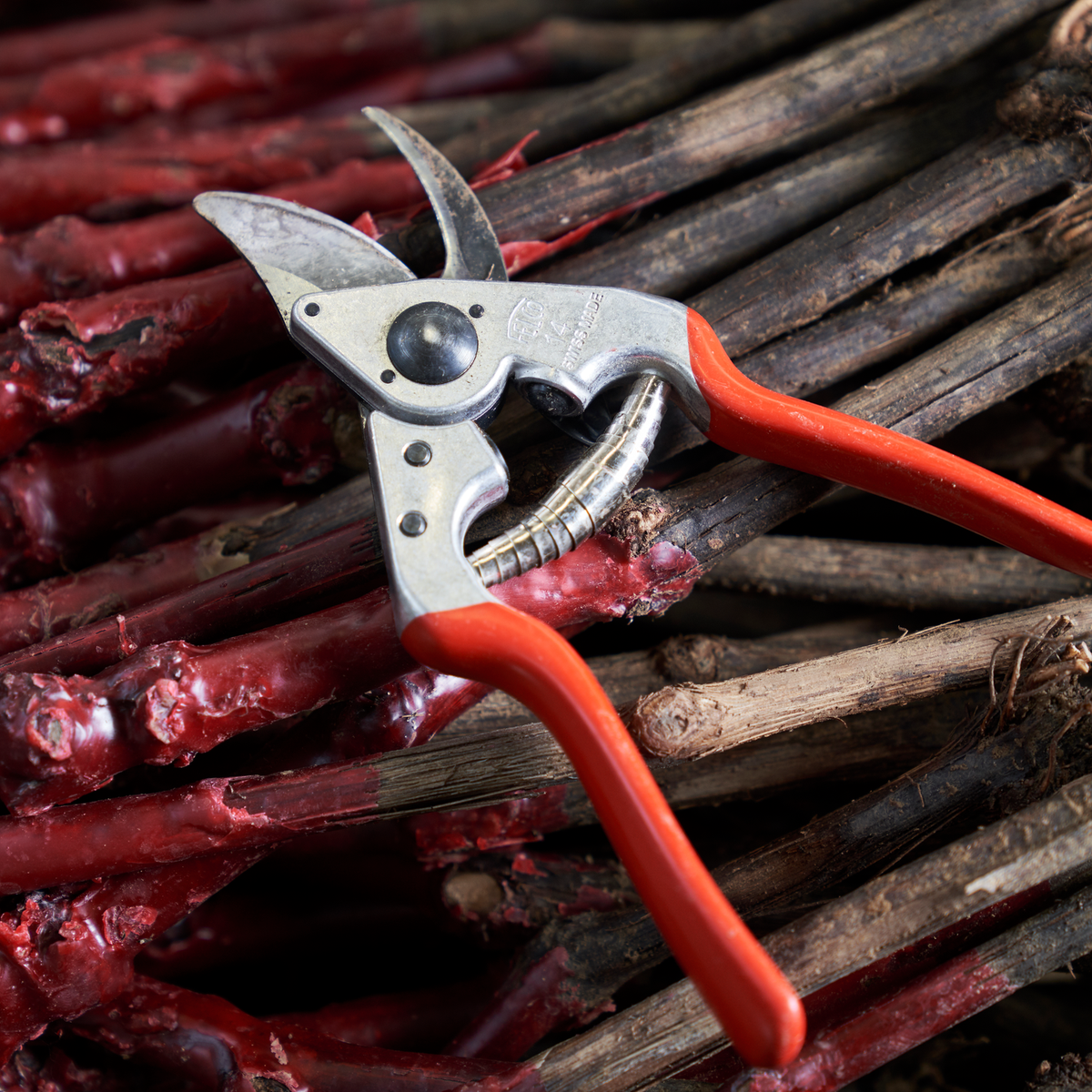 FELCO 14 – Originalaufnahme der Gartenschere