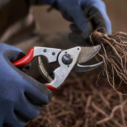 FELCO 14 – Originalaufnahme der Gartenschere