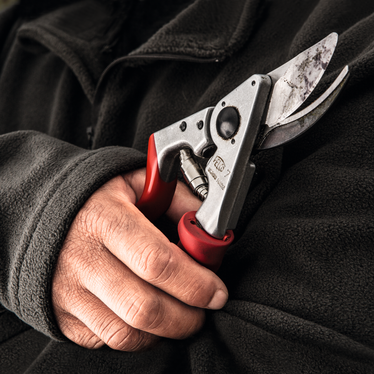 FELCO 7 – Originalaufnahme der Gartenschere