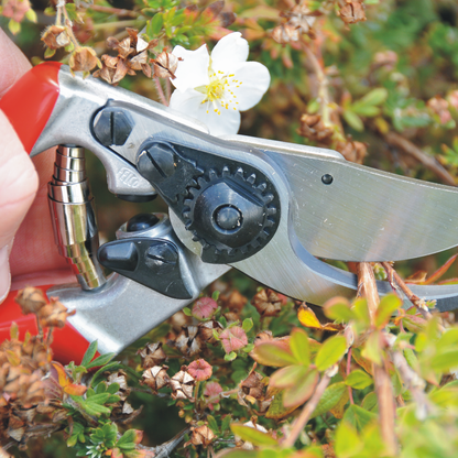 FELCO 9 – Originalaufnahme der Gartenschere