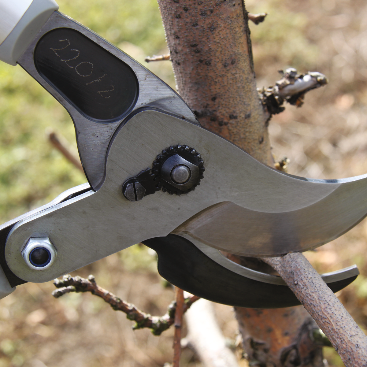 FELCO 220 Bypass-Astschere mit Getriebe – Originalansicht