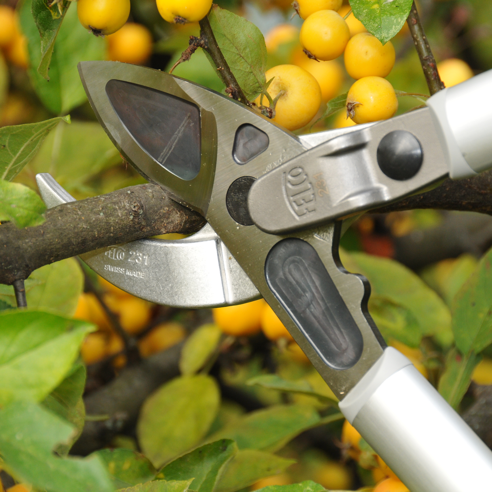 FELCO 231 Geared anvil loppers – original view