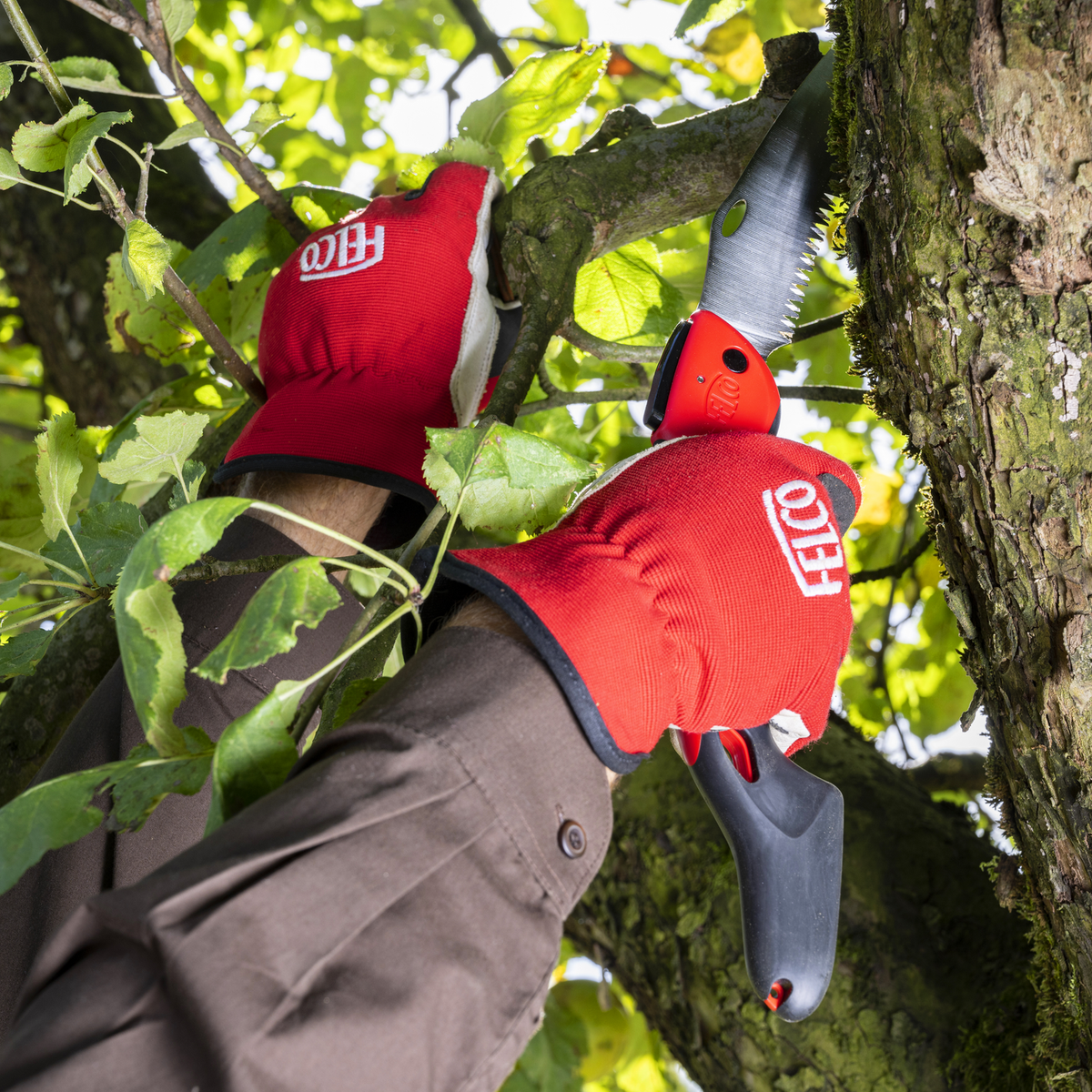 FELCO 603 – Originalaufnahme bei der Verwendung