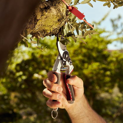 FELCO 8 Elite Bypass-Gartenschere mit Ledergriffen, Größe L – Originalansicht