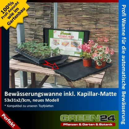 G24-Bewässerungswanne mit Kapillarmatte – Original-Anwendungsbeispiel