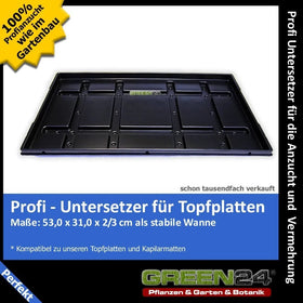 Support Tray for Cell Trays – G24