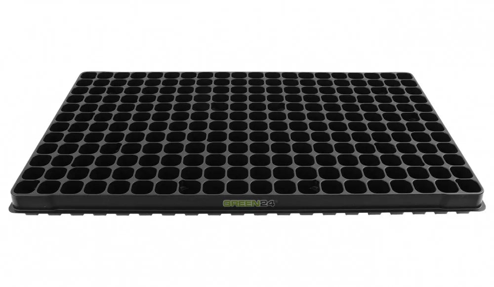 G24 Anzuchtplatte QP D 240/3,7 – 240 Zellen – Originalansicht