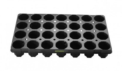 G24 Anzuchtplatte QP D 28/6,5 R – 28 Zellen – Originalansicht