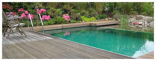 Wasserbecken mit Holzdeck und blühender Gartenbepflanzung