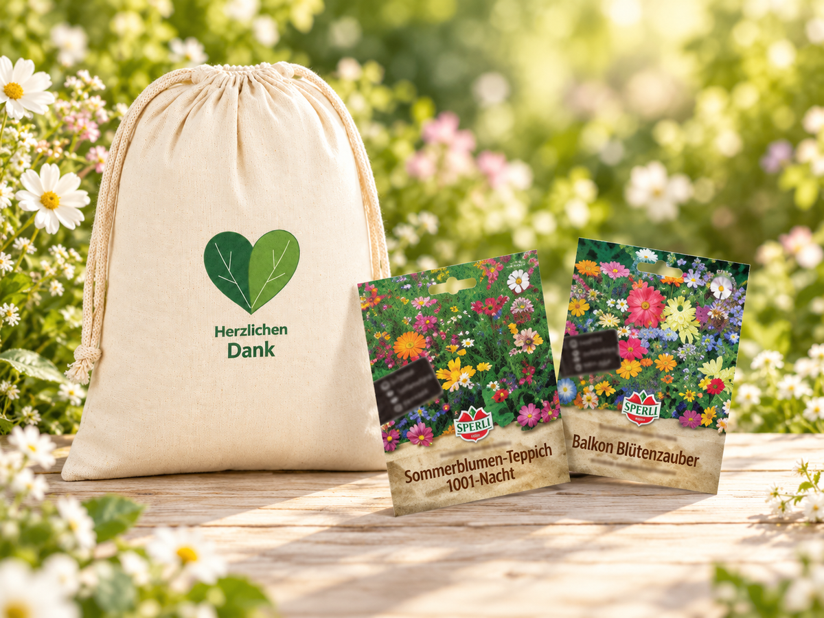 GREEN24 Geschenkbeutel Herzlichen Dank mit SPERLI-Blumensaatgut auf einem blühenden Gartentisch.