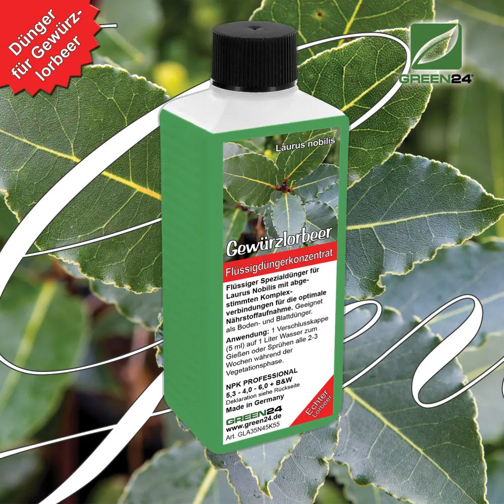 Gewürzlorbeer-Dünger 250 ml für Laurus nobilis