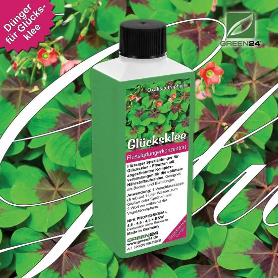Glücksklee-Dünger 250 ml vor Oxalis tetraphylla