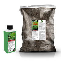 Hawaiian Palm Repotting Set
