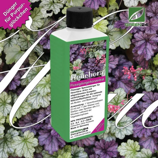 Heuchera-Dünger 250 ml vor Purpurglöckchen