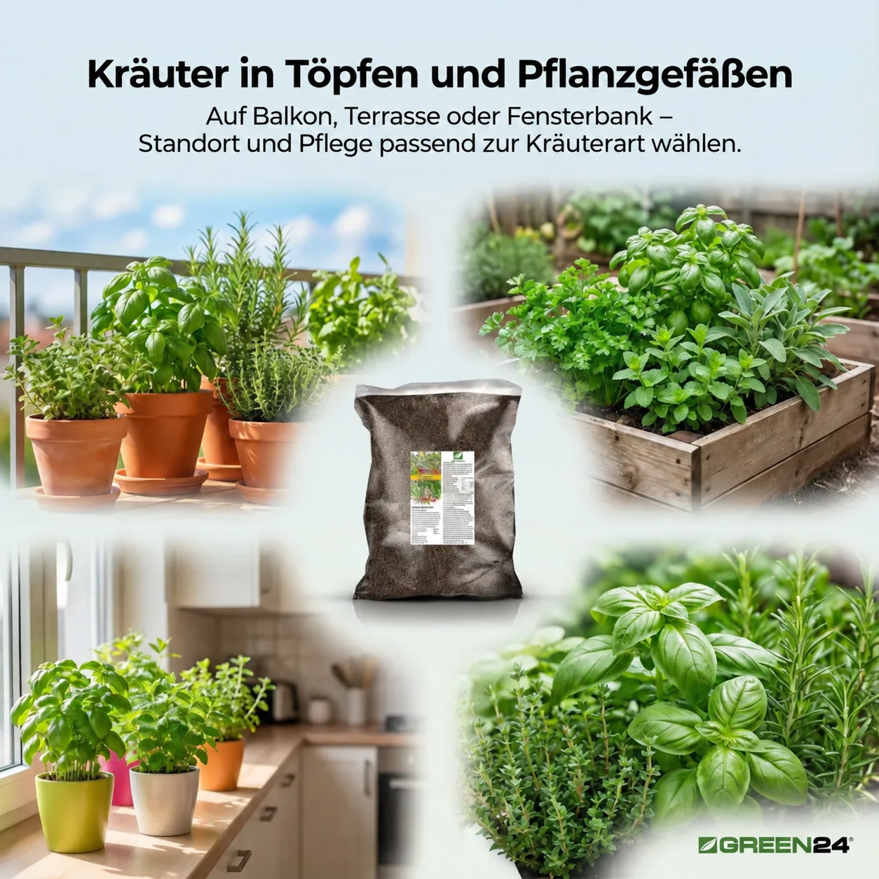 Herbs in pots and containers