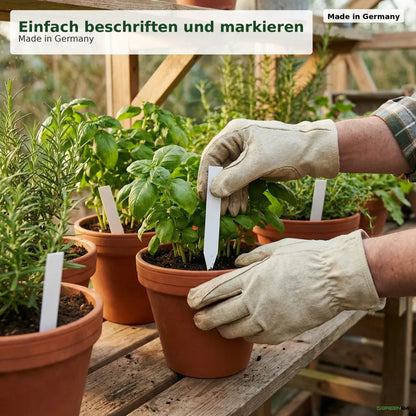 Anwendungsbeispiel: weißes Stecketikett neben einer Pflanze