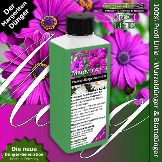 Margeriten-Dünger 250 ml vor Margeritenblüten