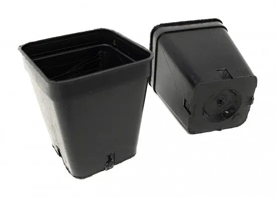 Mini-Vierkanttöpfe 5 × 5 × 6 cm – Originalansicht