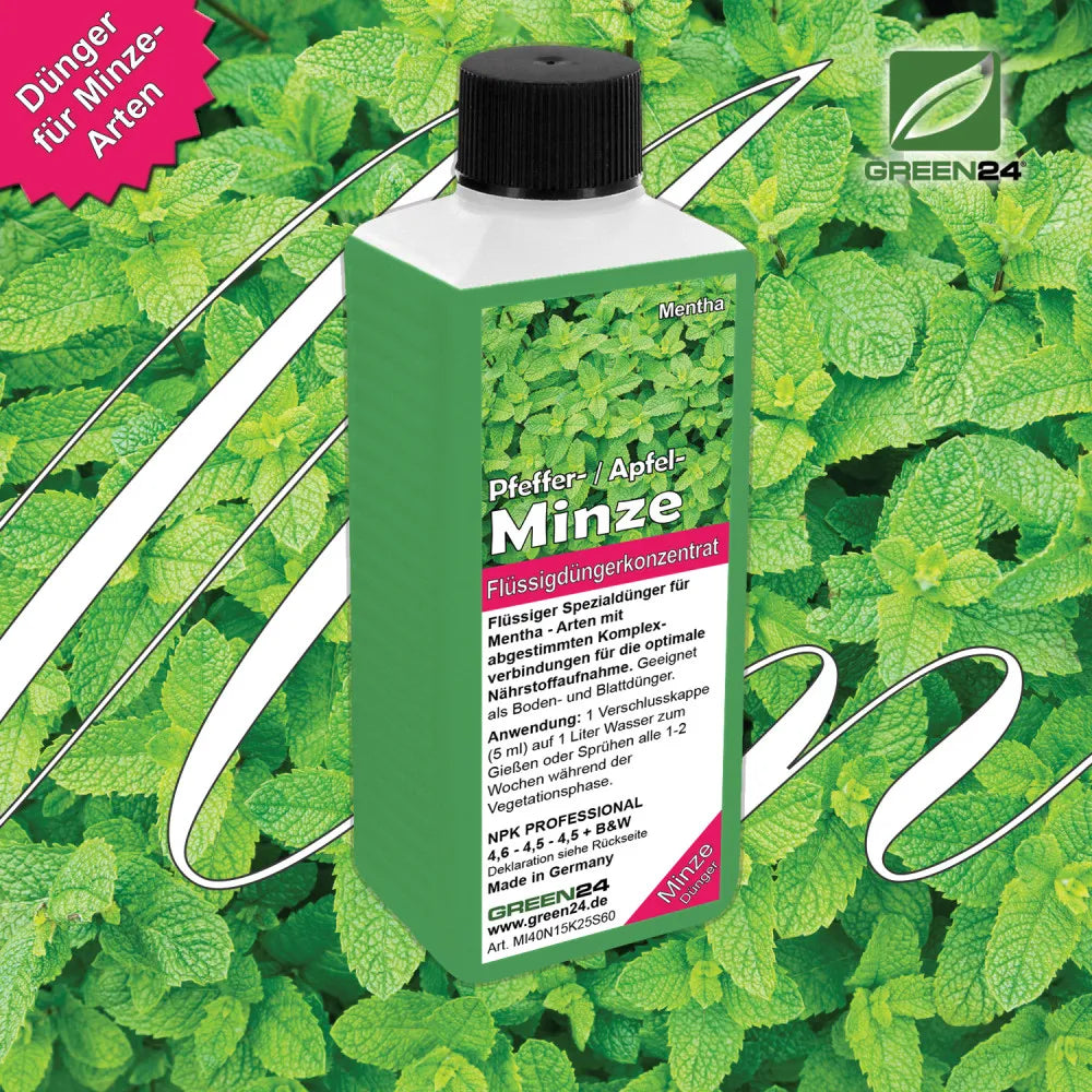 Minze-Dünger 250 ml für Mentha-Arten