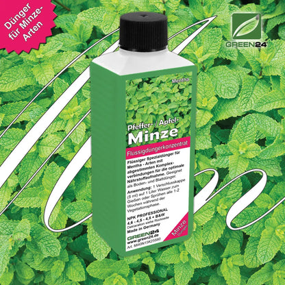 Minze-Dünger 250 ml für Mentha-Arten