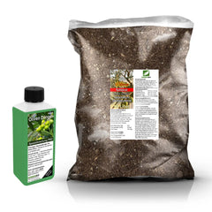 Olive Repotting Set