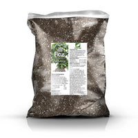 Ficus-Erde