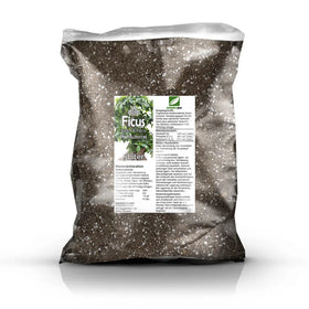 Ficus-Erde