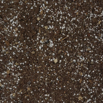 Hoya-Erde – Substratstruktur