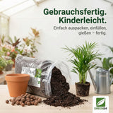 Palmenerde und Zubehör zum Umtopfen einer Zimmerpalme