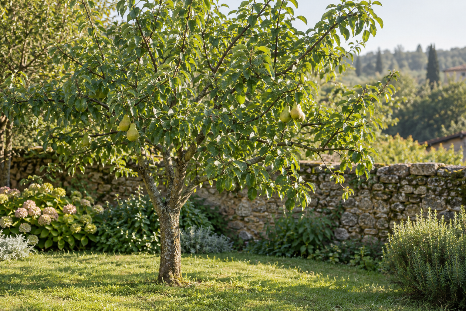 Pflanzenmotiv pear