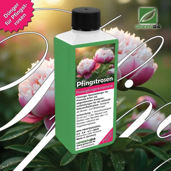 Pfingstrosen-Dünger 250 ml vor Päonienblüten