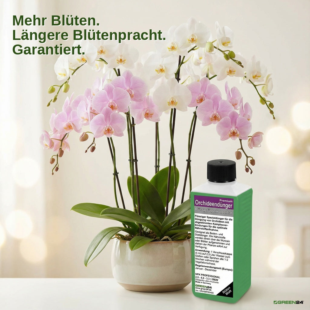 Orchideen-Dünger Premium mit weiß und rosa blühenden Orchideen