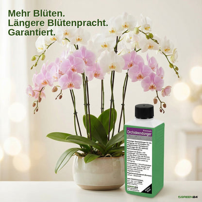 Orchideen-Dünger Premium mit weiß und rosa blühenden Orchideen